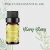 Ttgarden 100% Pure Natural Aromatherapy Essential Oil 5ml - Ylang Ylang（free Incense Wood Pendant） 5ml