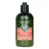 L'Occitane Aromachologie Intensive Repair Conditioner (Damaged Hair) 250ml/8.4oz -Skin Care Store 23677130744