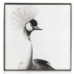 Chantecaille Luminescent Eye Shade 2.5g/0.08oz -Skin Care Store 25760793402 2